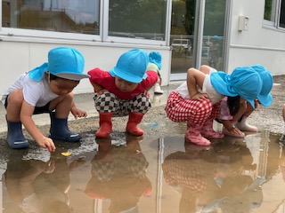 令和8年度 園児募集についてのお知らせ(10/9時点)